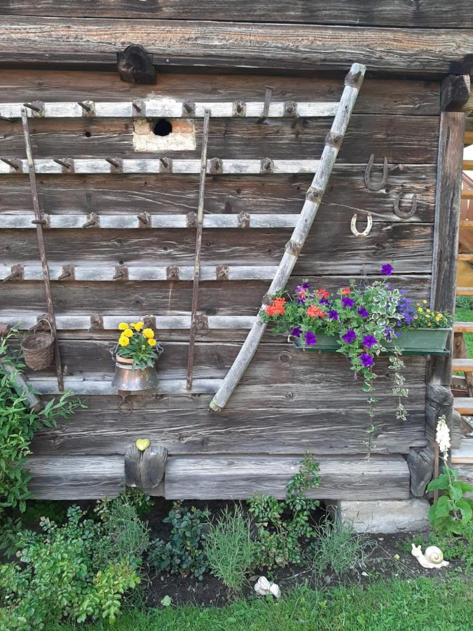 Landhaus Tippl Aigen im Ennstal Exteriér fotografie