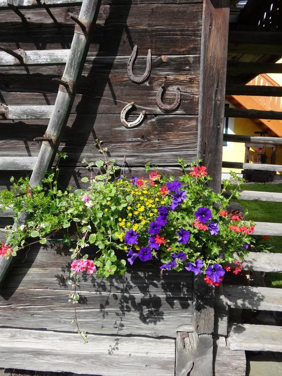 Landhaus Tippl Aigen im Ennstal Exteriér fotografie